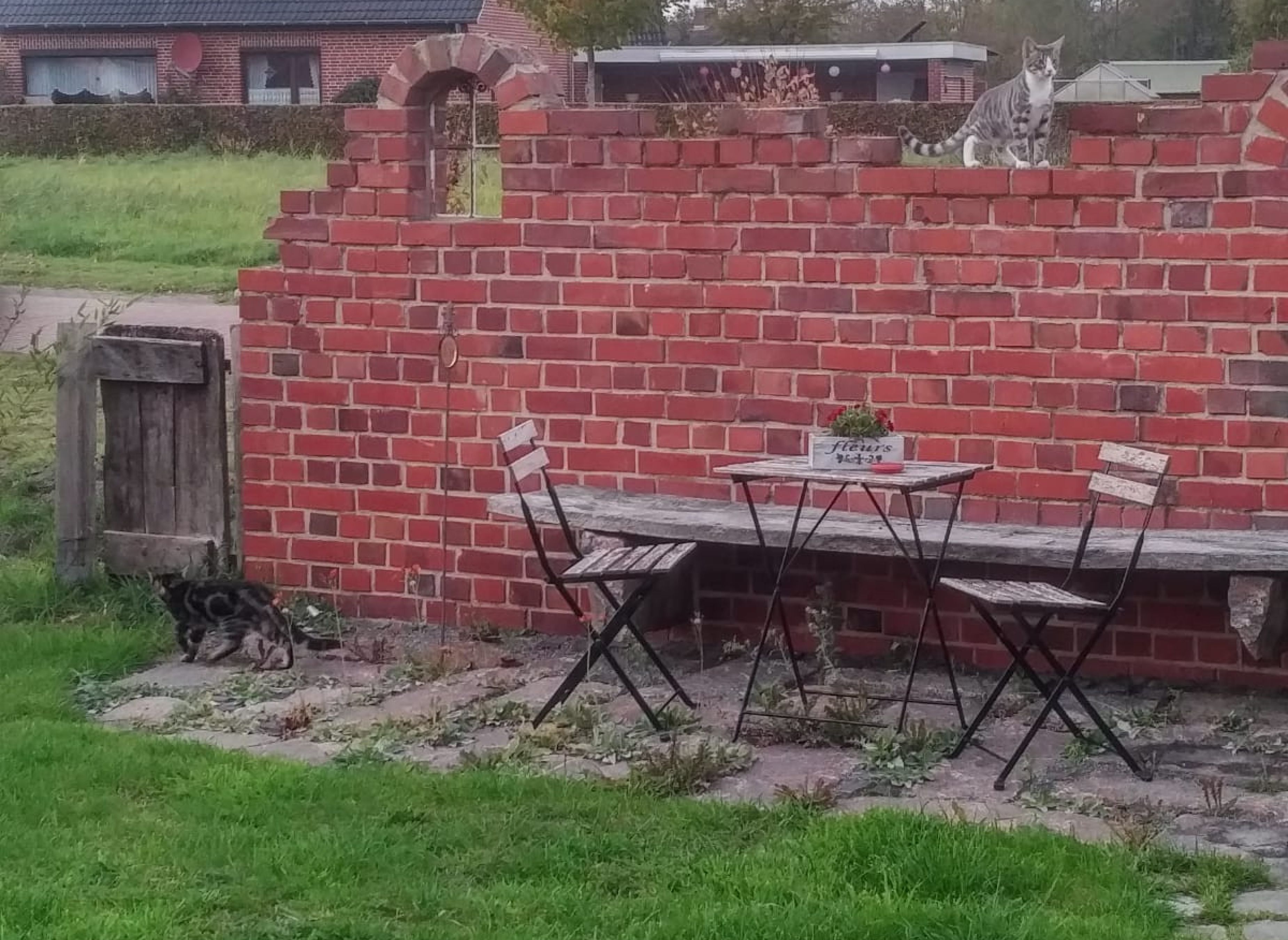 Blick auf Weide, kurzer Weg zum See — Photo 3