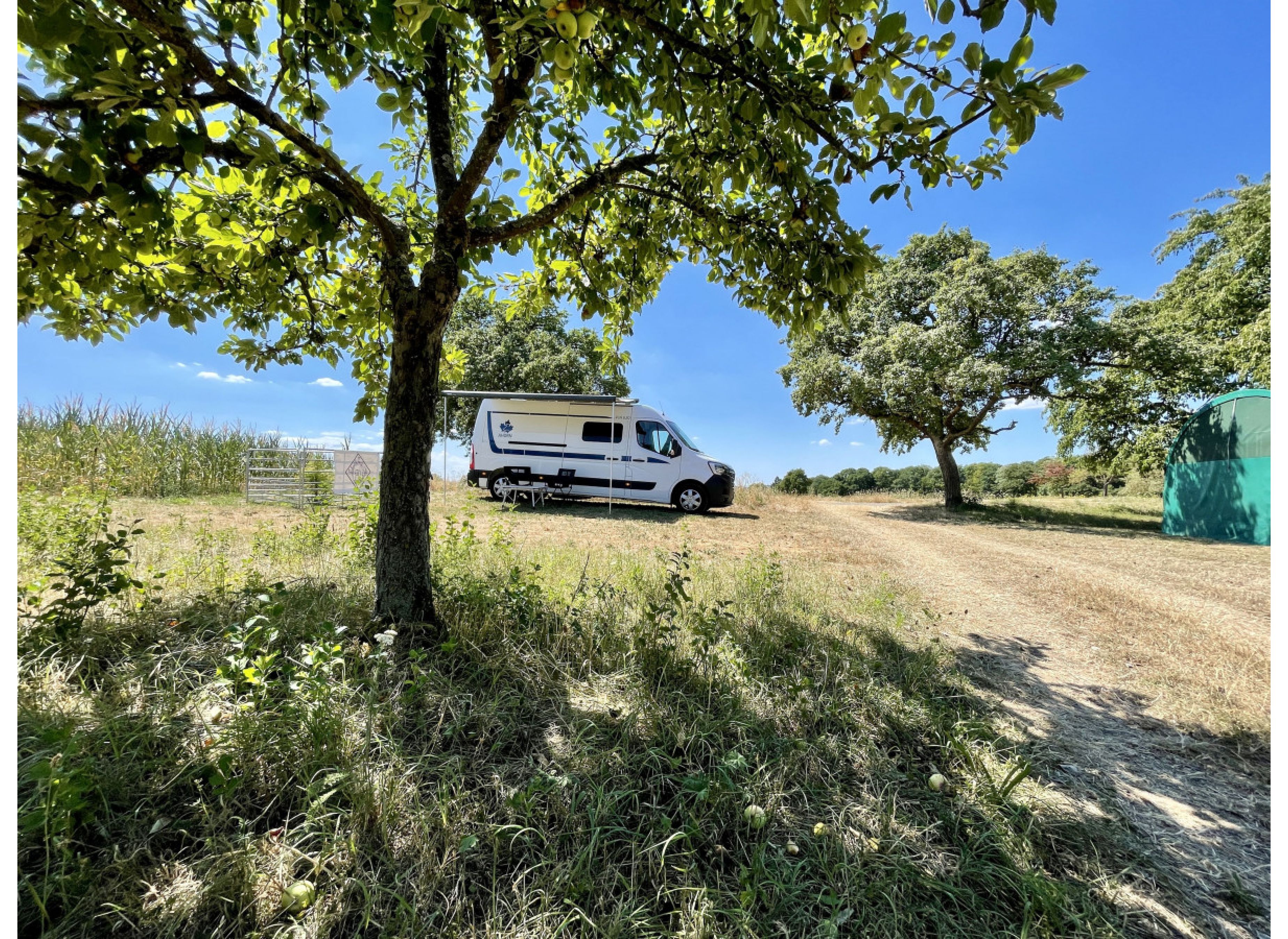 Schöne Aussicht mit Sonnenuntergang #1