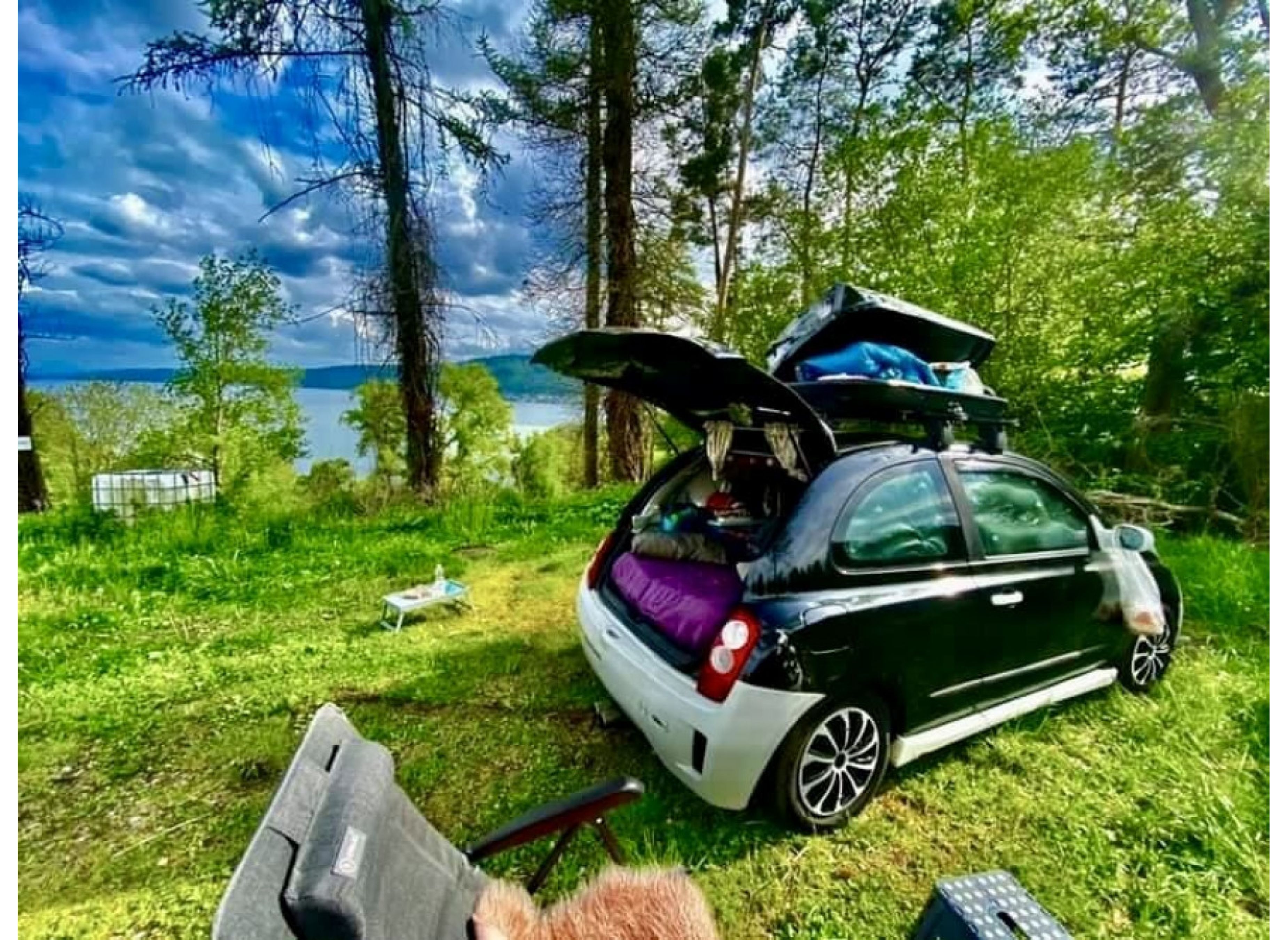 Bodenseesicht alleine in der Natur