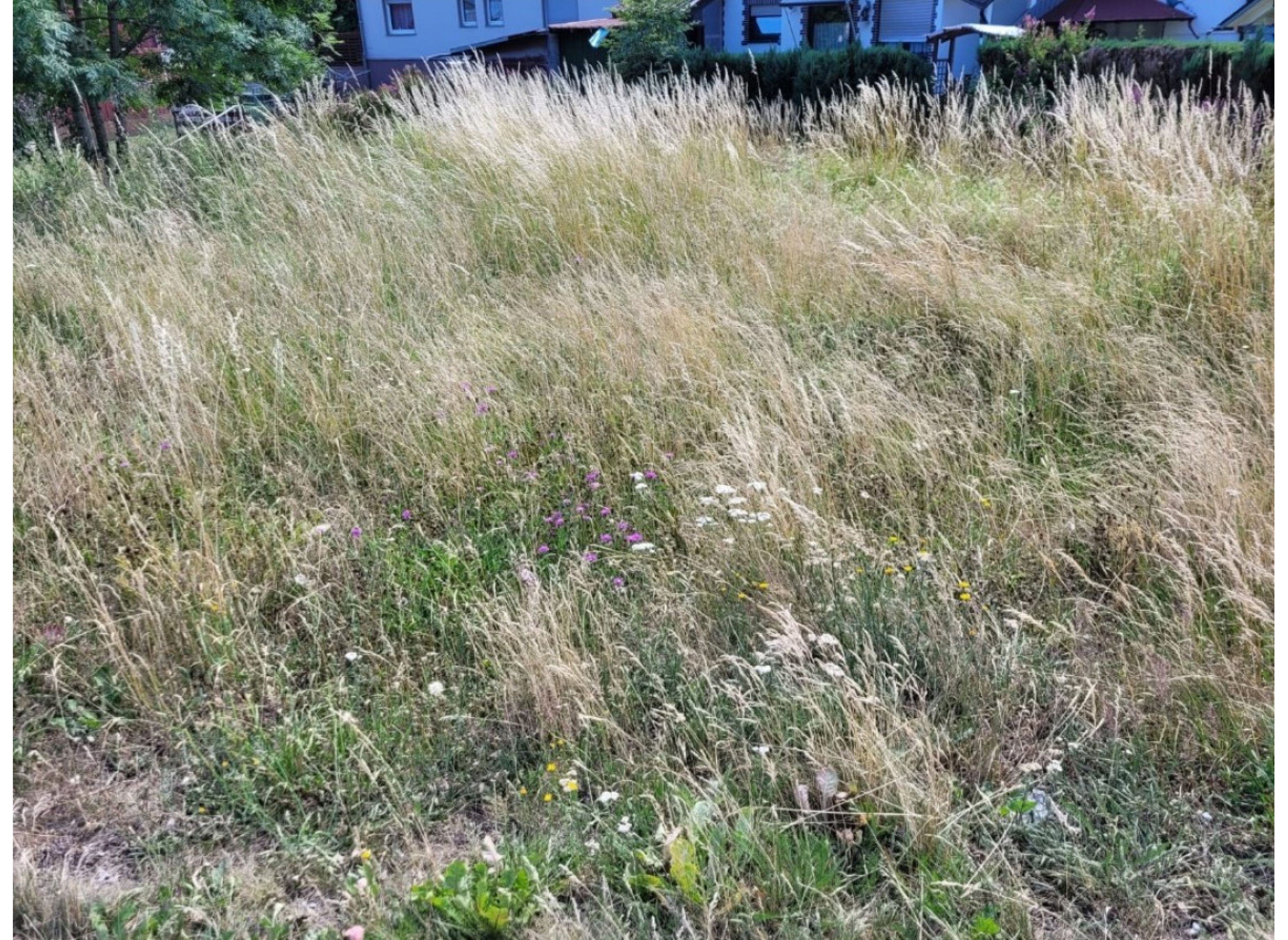 Einzelstellplatz in Volkholz