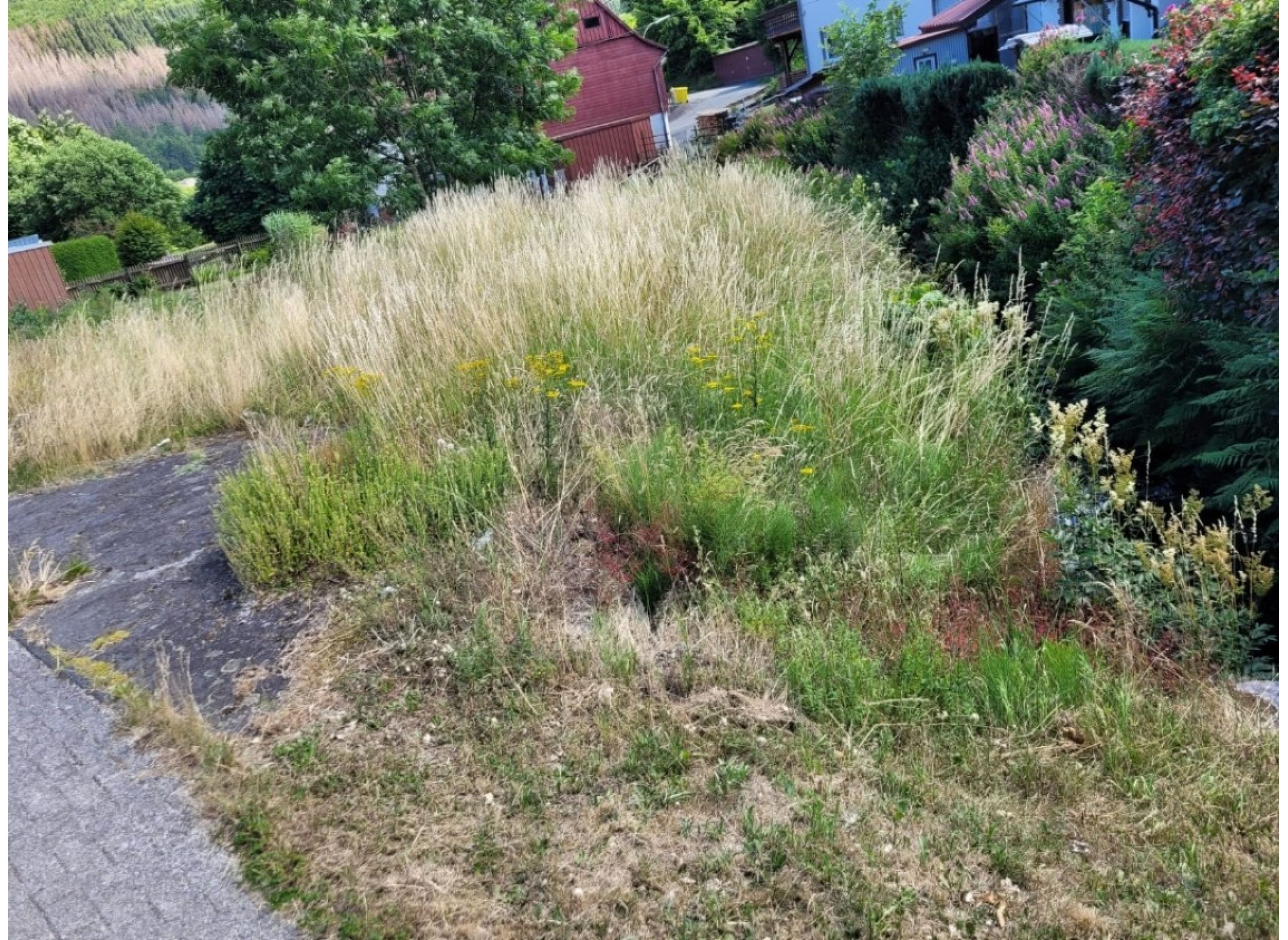 Einzelstellplatz in Volkholz — Photo 2