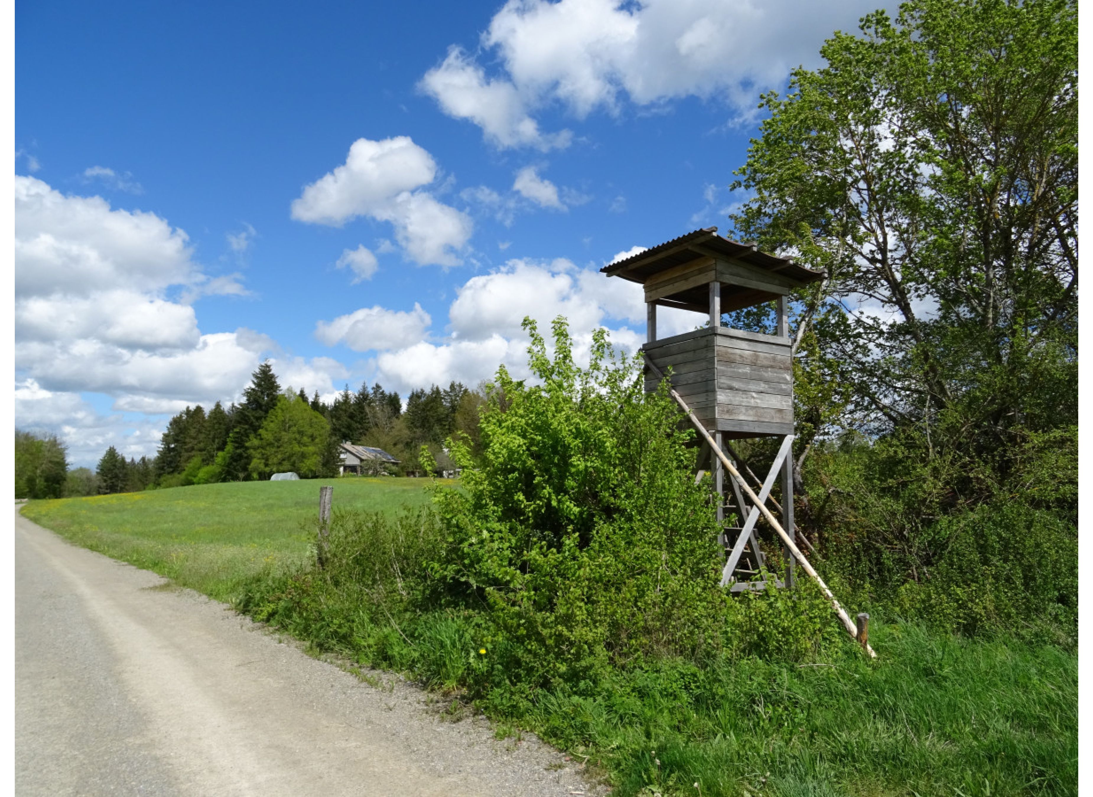 Fern von jeglichem Alltagsstress mitten im Grünen