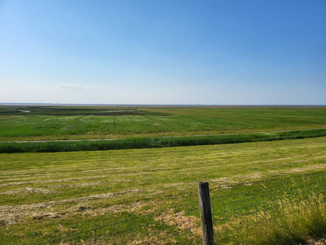 Stellplatz Jade — Photo 5