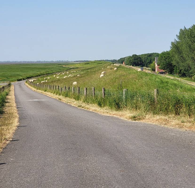 Stellplatz Jade — Photo 6