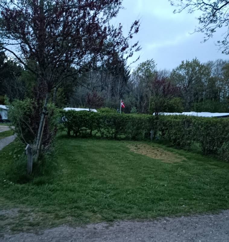 Houstrup camping — Photo 4
