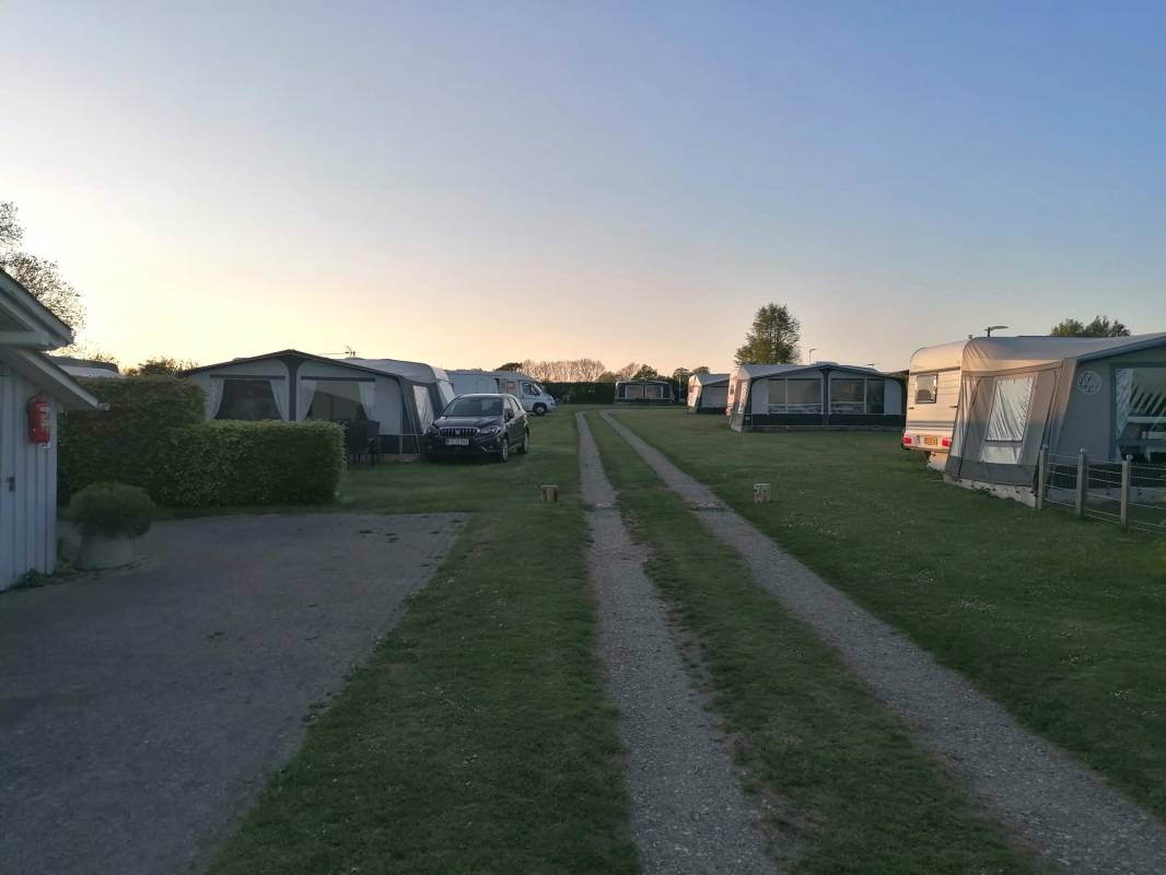 Syltemae Camping — Photo 2