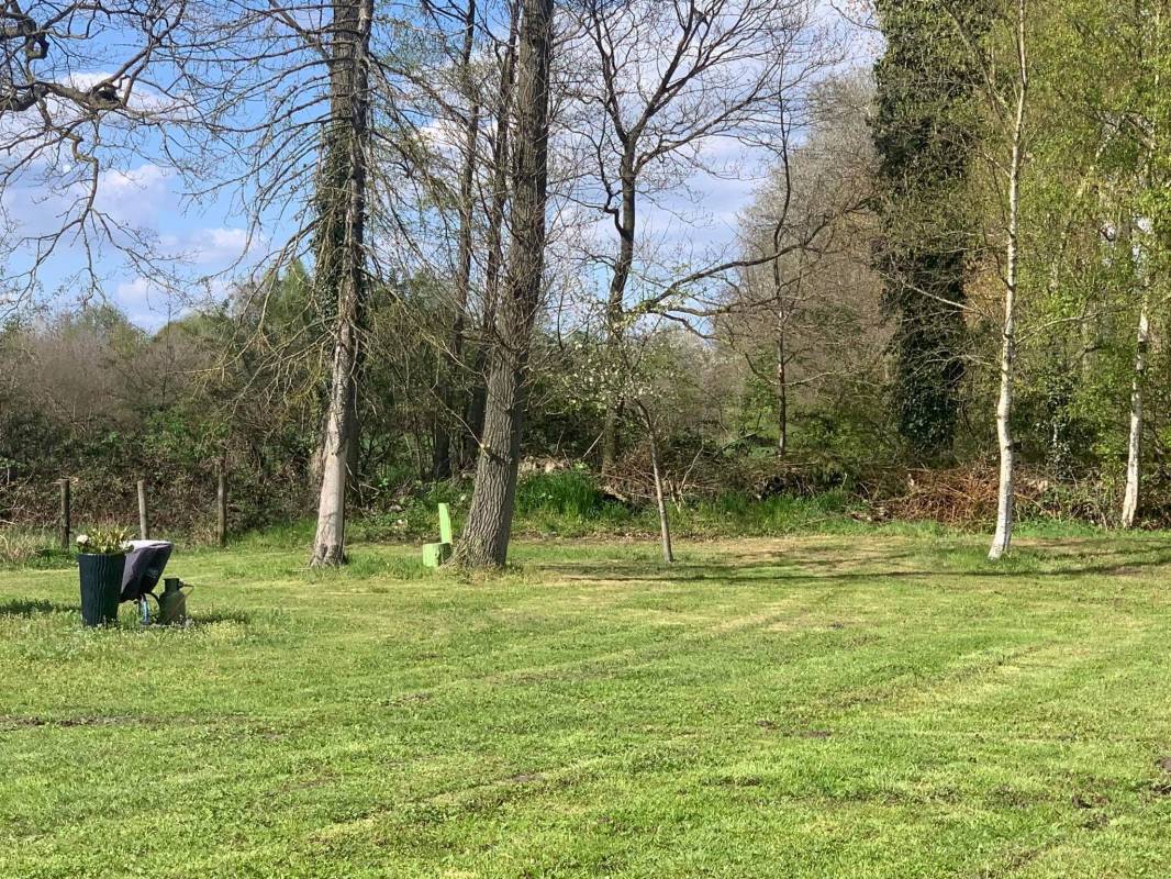 Stellplatz auf der ehemaligen Ponywiese — Photo 3