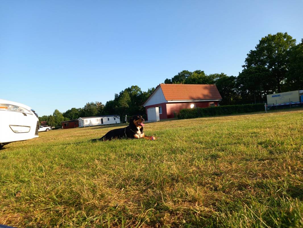 Campingpark Münsterland Eichenhof — Photo 4