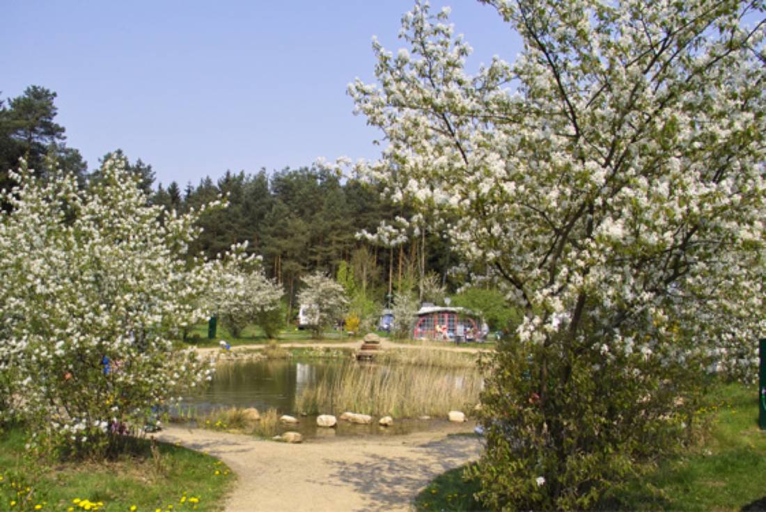 Südsee Camp ***** — Photo 4