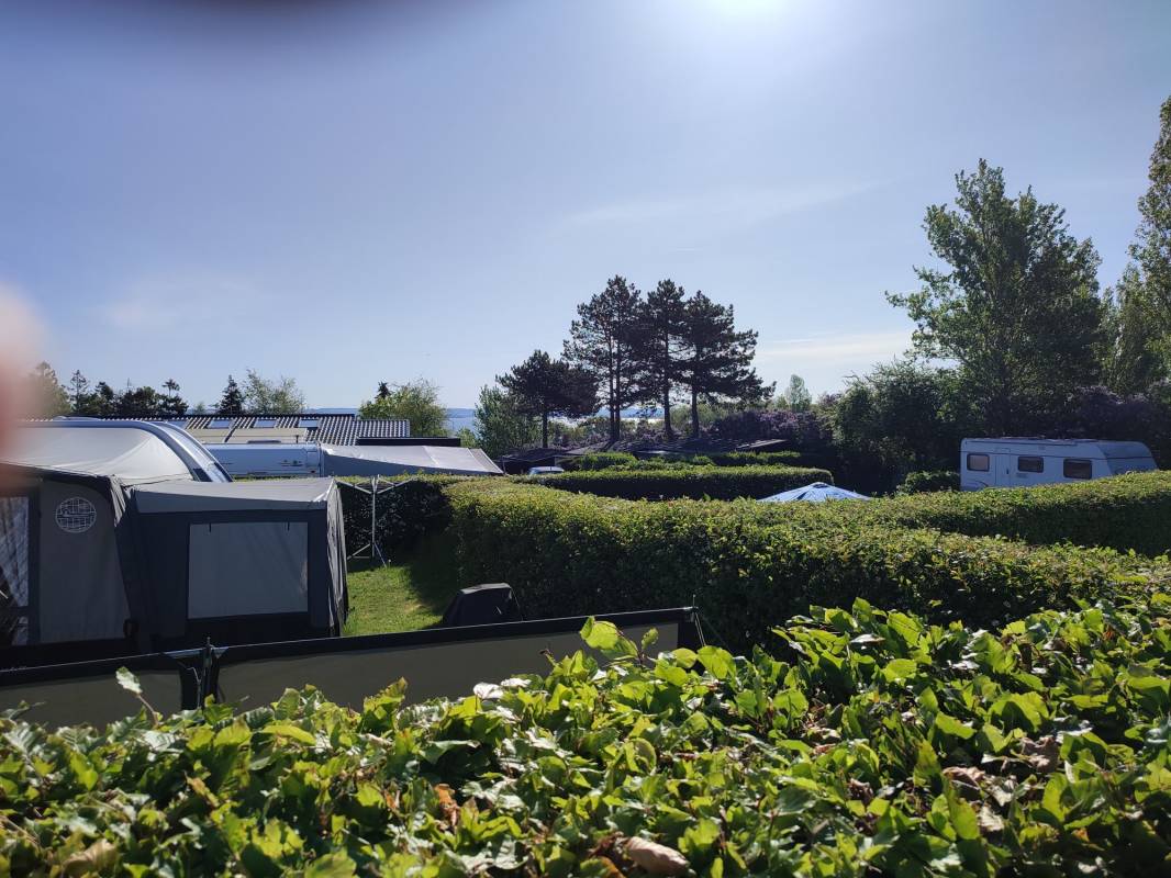 Helnæs Camping — Photo 2