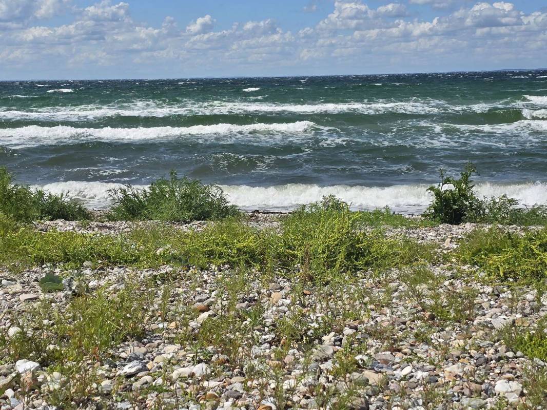 Helnæs Camping — Photo 6