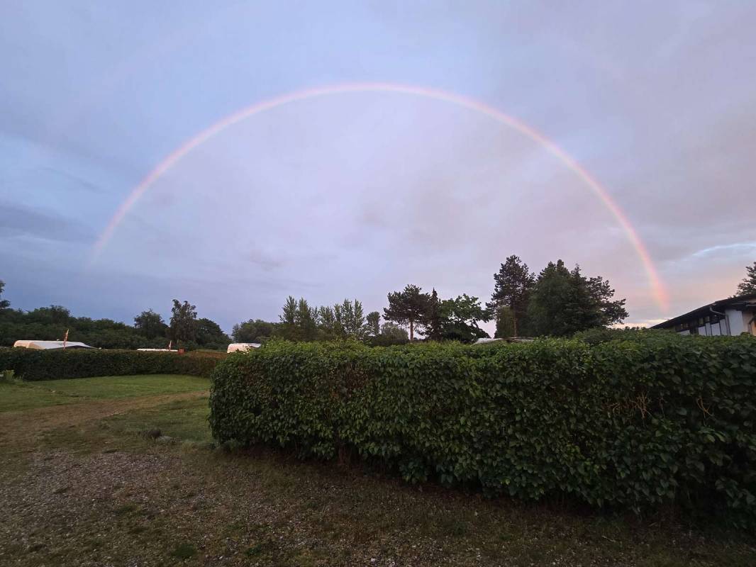 Helnæs Camping — Photo 5