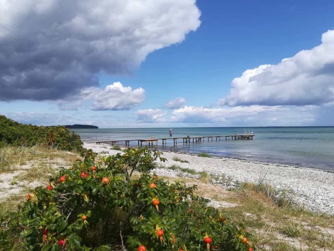 Camp Hverringe — Photo 5