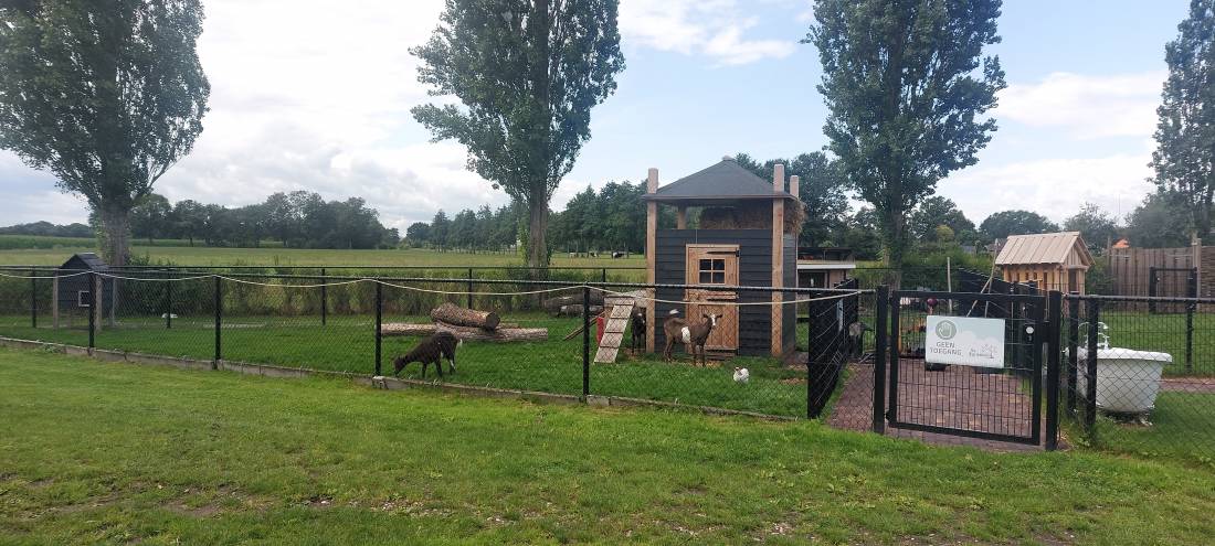 Camping Landgoed Geerdijk — Photo 2