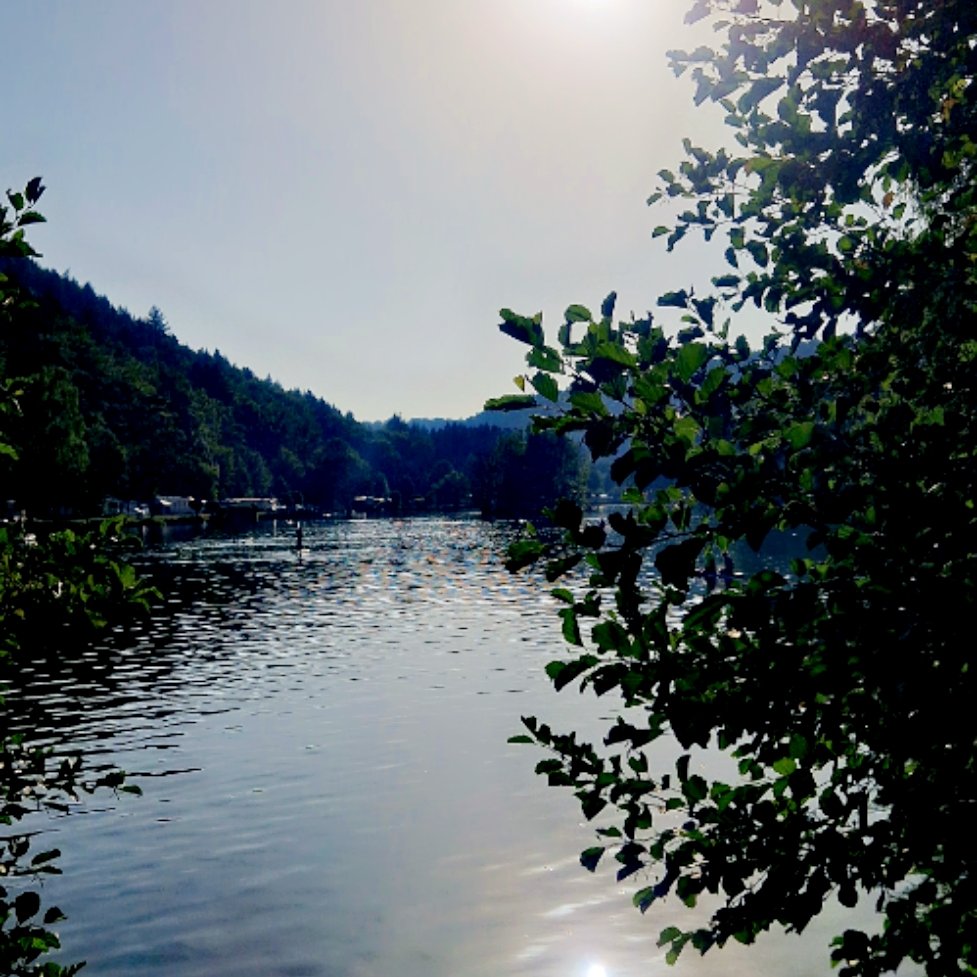 Camping Clausensee — Photo 6