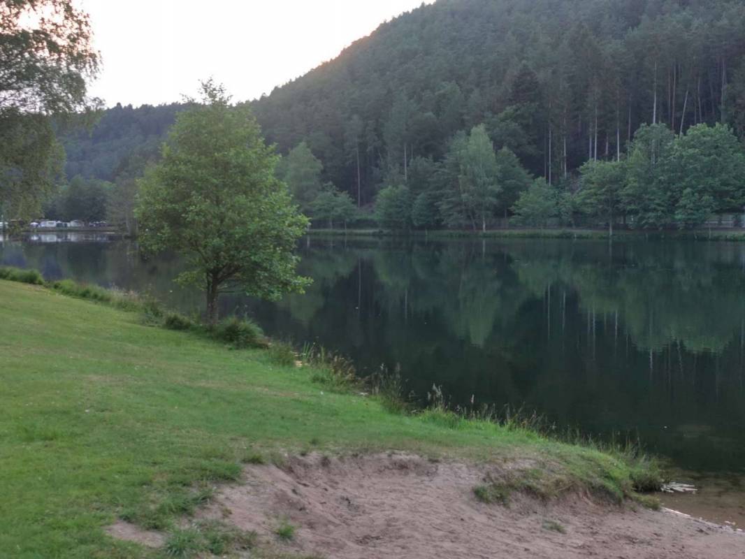 Camping Clausensee — Photo 3