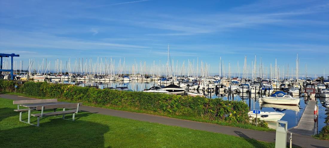 Bogense Marina
