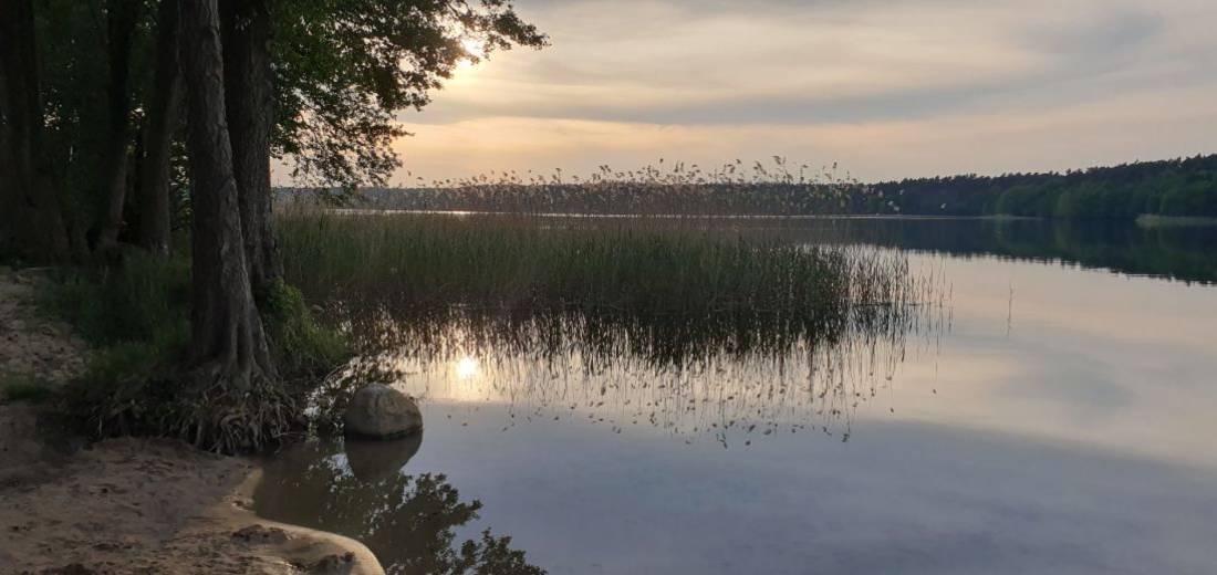 Camping am Wolletzsee