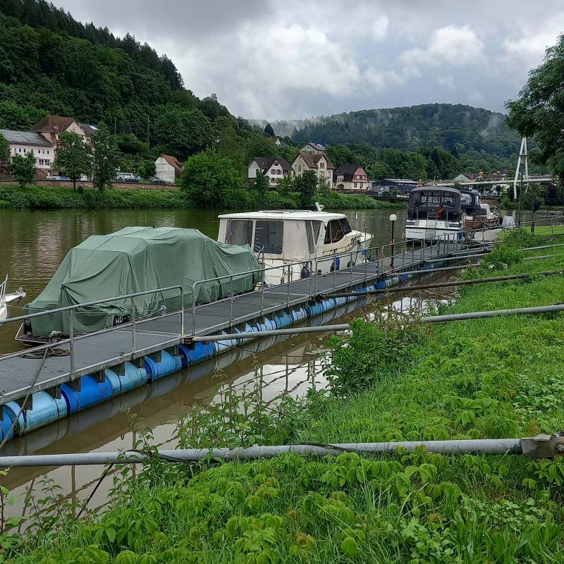 MYCN Zwingenberg Campingplatz