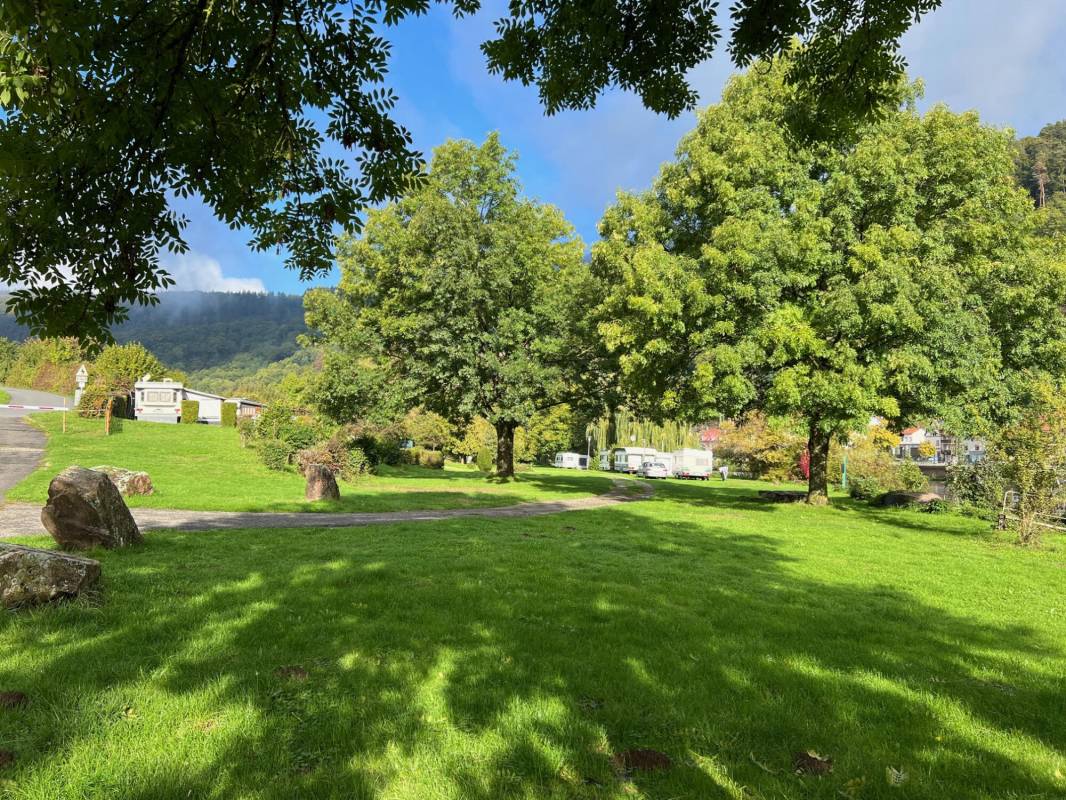 MYCN Zwingenberg Campingplatz — Photo 4