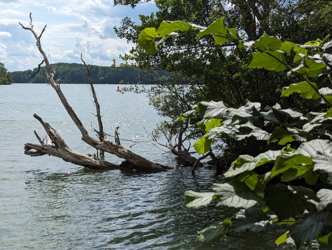 Gutshaus Wendenhof — Photo 3