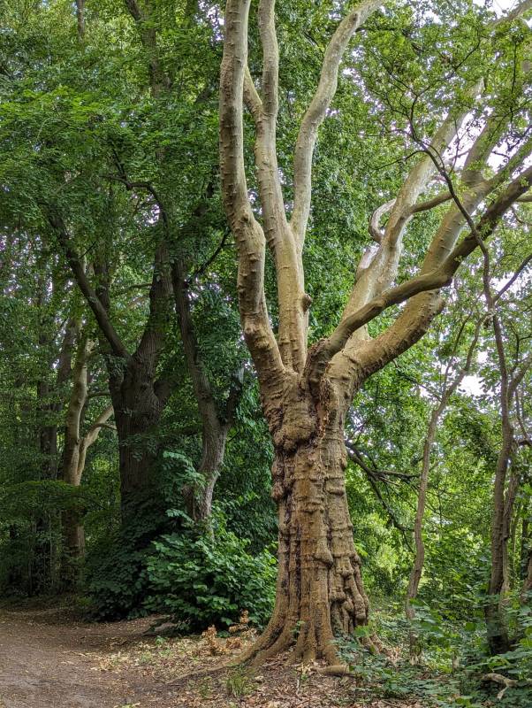 Gutshaus Wendenhof — Photo 6