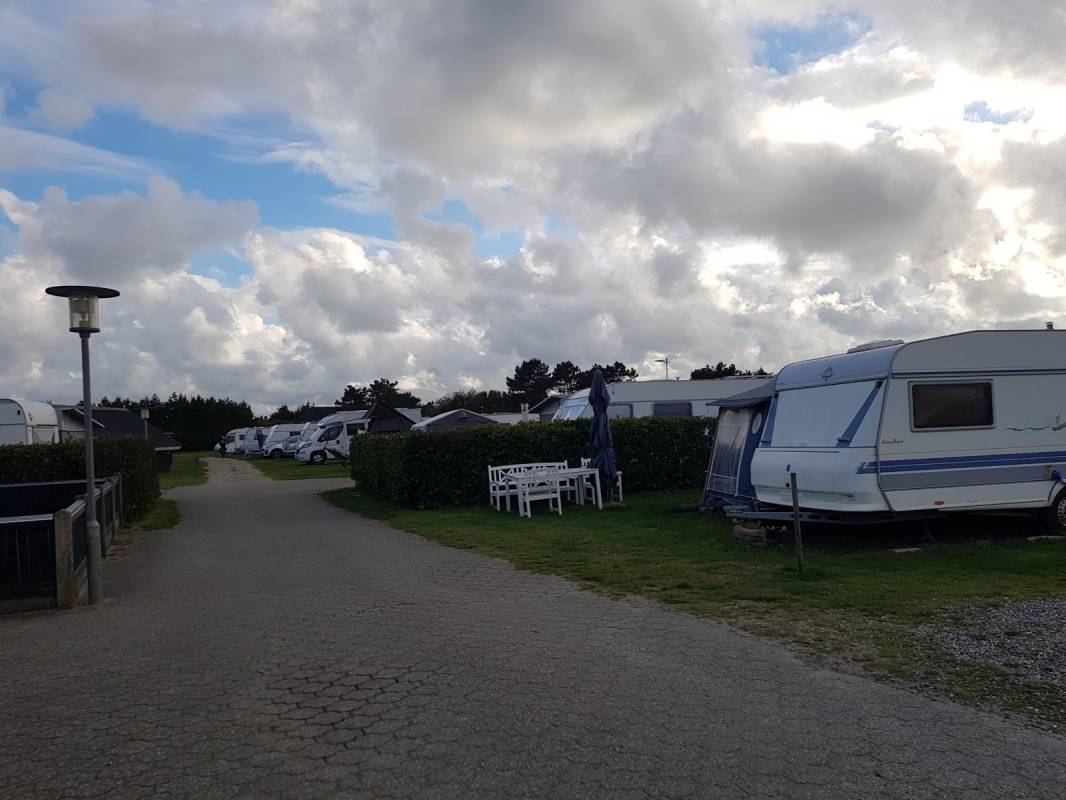 Vedersø Klit Camping — Photo 2