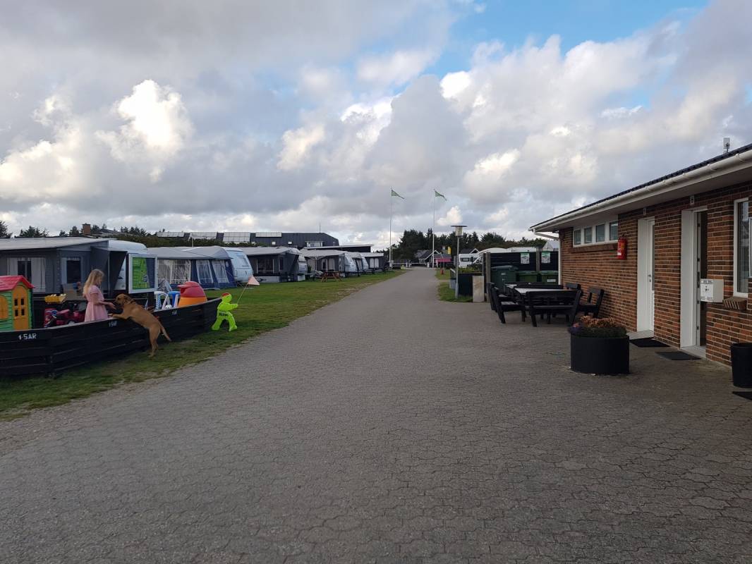 Vedersø Klit Camping