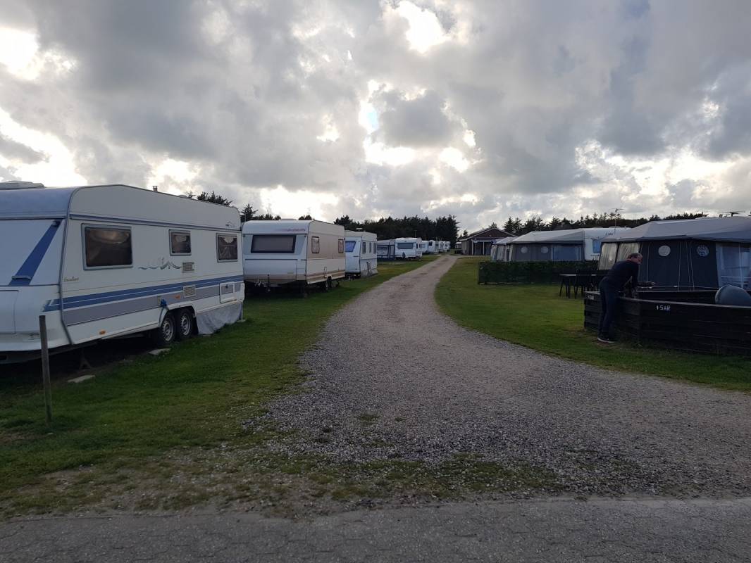 Vedersø Klit Camping — Photo 4
