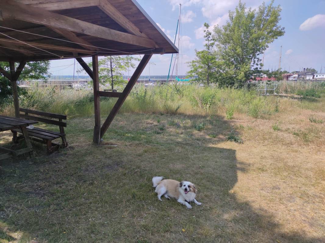 Peenemünde Segelverein — Photo 2