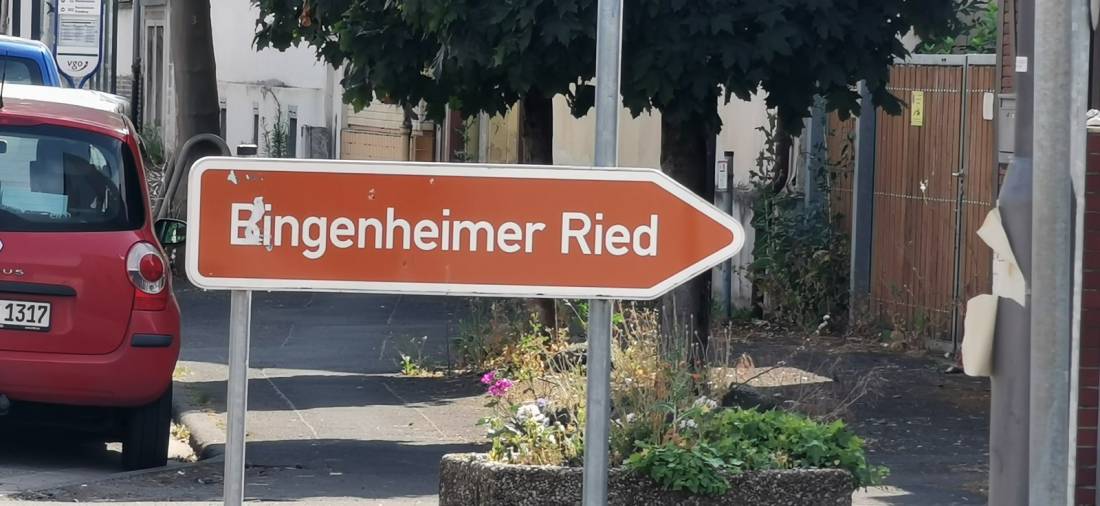 Bingenheimer Ried
