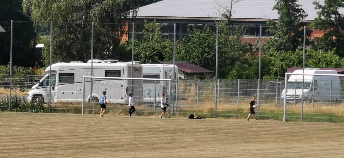 Bingenheimer Ried — Photo 4