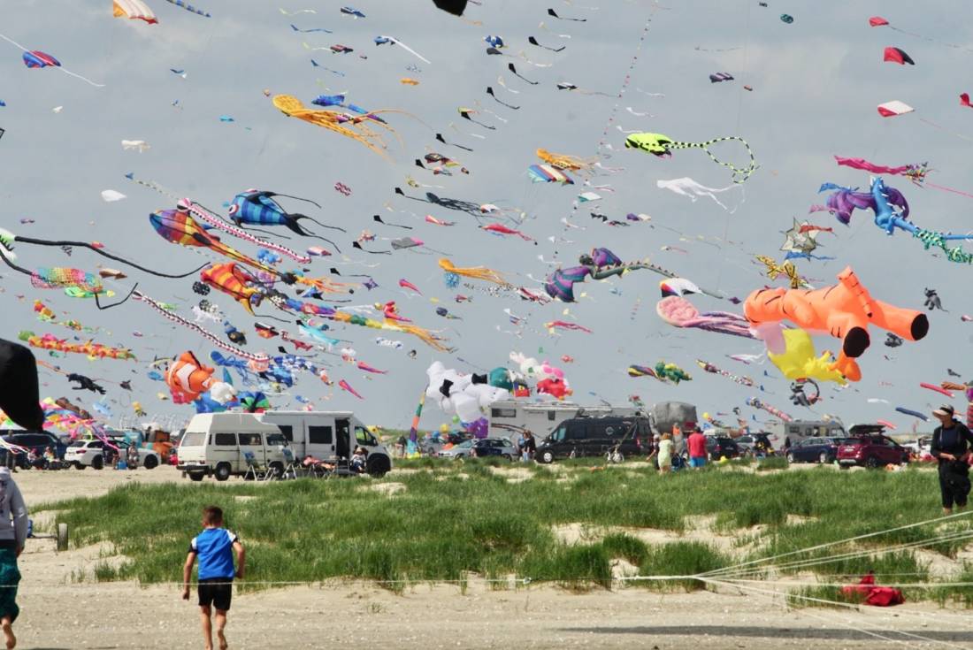 Feldberg Strandcamping — Photo 4