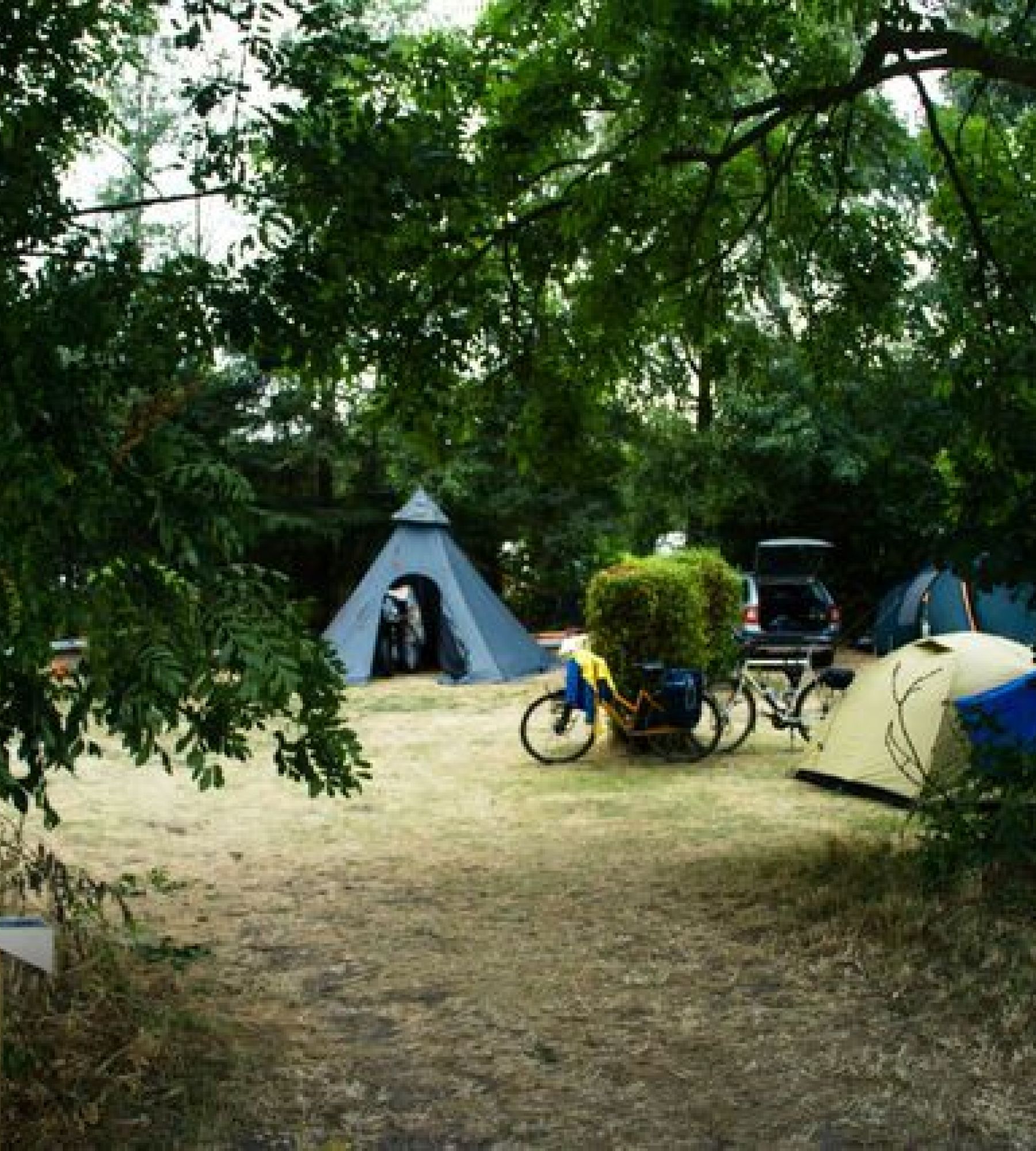 Færgegårdens Camping — Photo 3