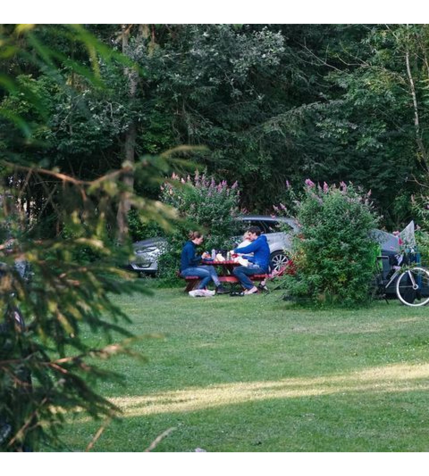 Færgegårdens Camping — Photo 6