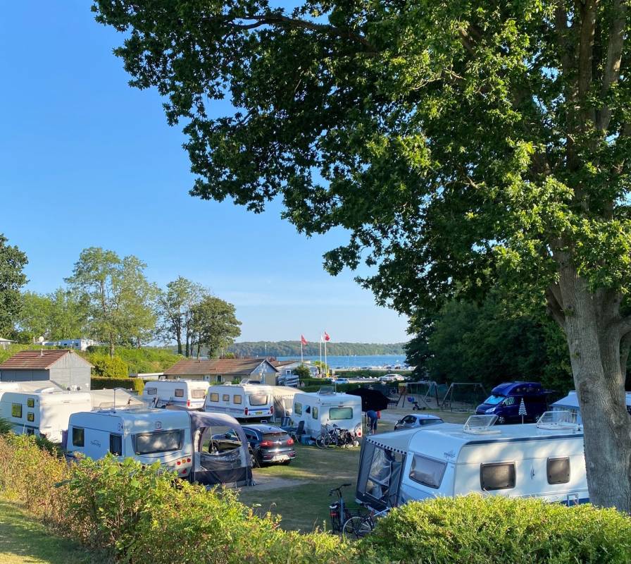 Soenderballe Camping — Photo 2