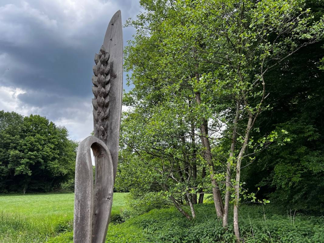 Stellplätze Wirzenborn — Photo 3