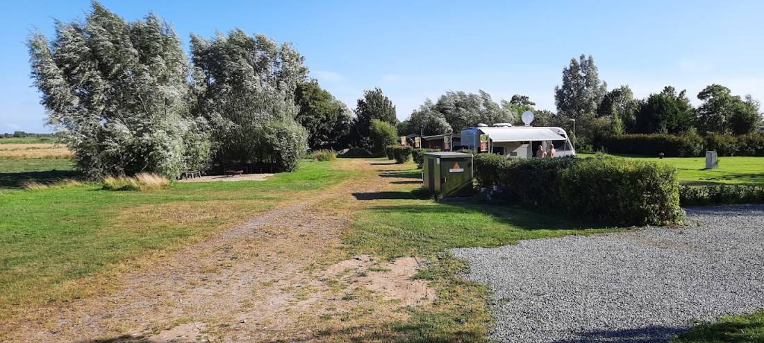 Stellplatz Hohner Fähre Friedrichsgraben — Área de autocaravanas in Friedrichsgraben
