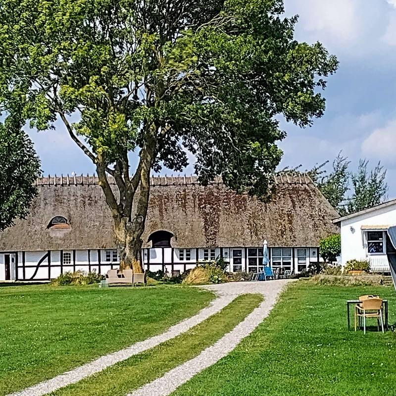 Rantzausminde Camping — Photo 3