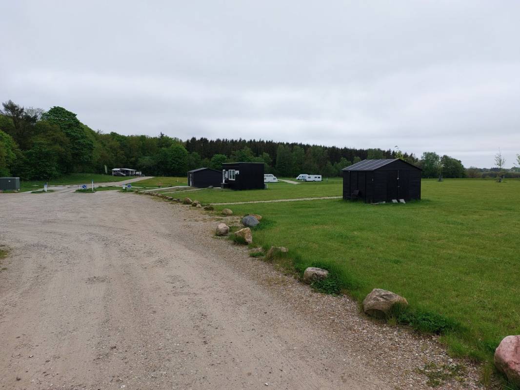 Dancamps Kolding — Photo 4