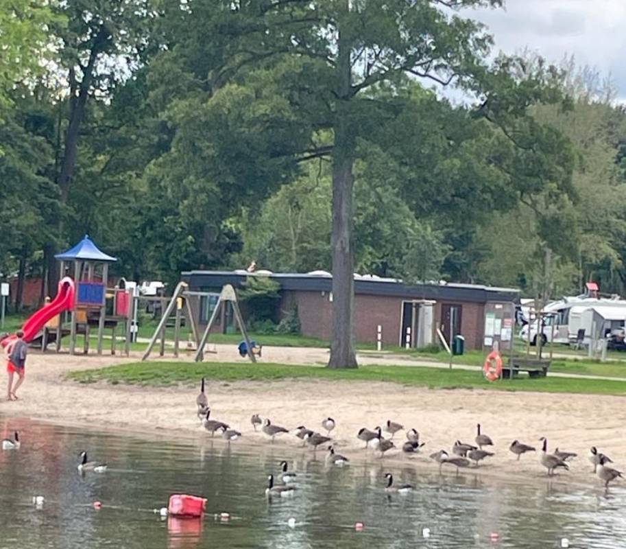 Campingplatz Lange Wisch