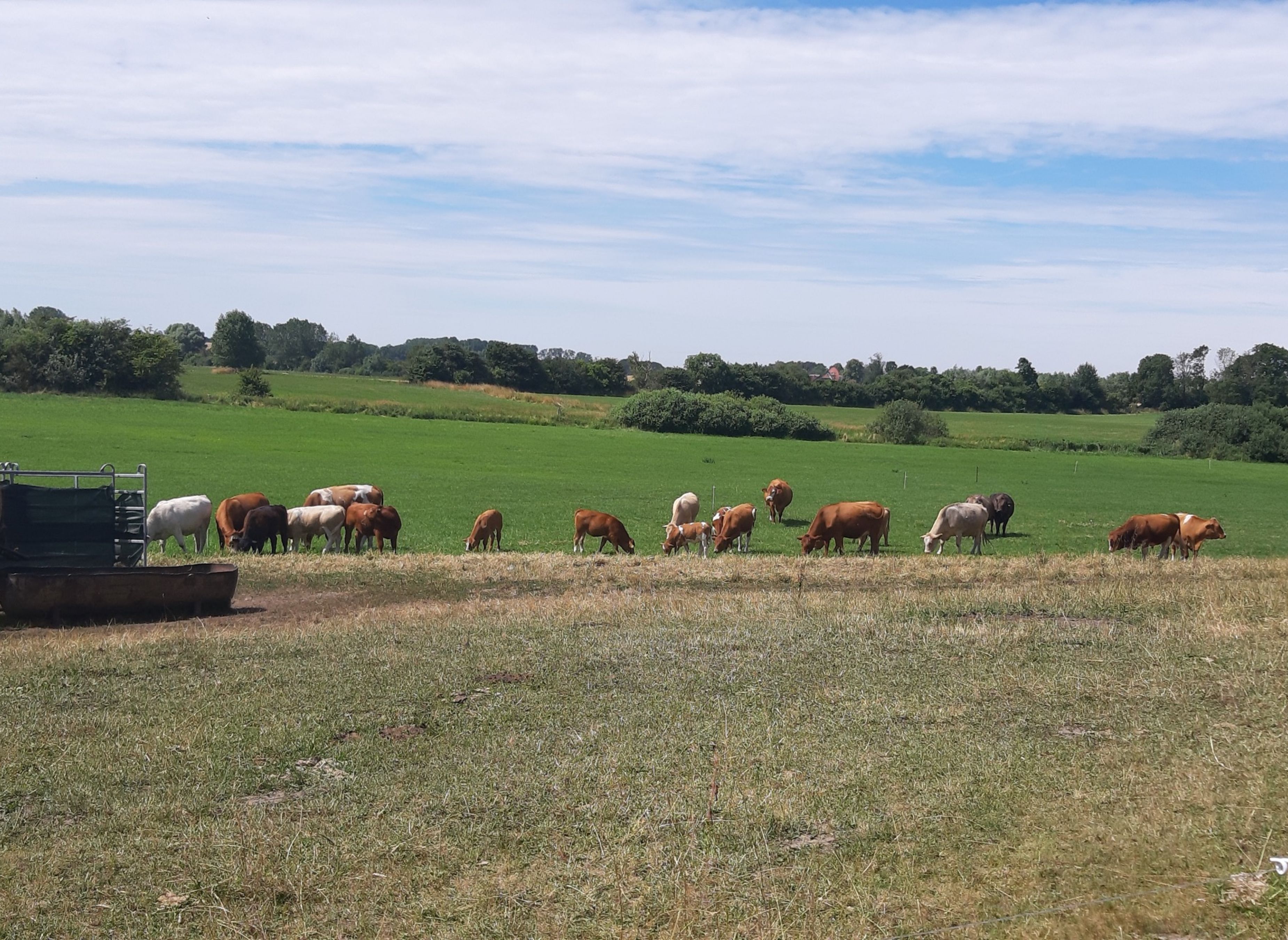 Ostseecamping Beckerwitzer Strand — Photo 6