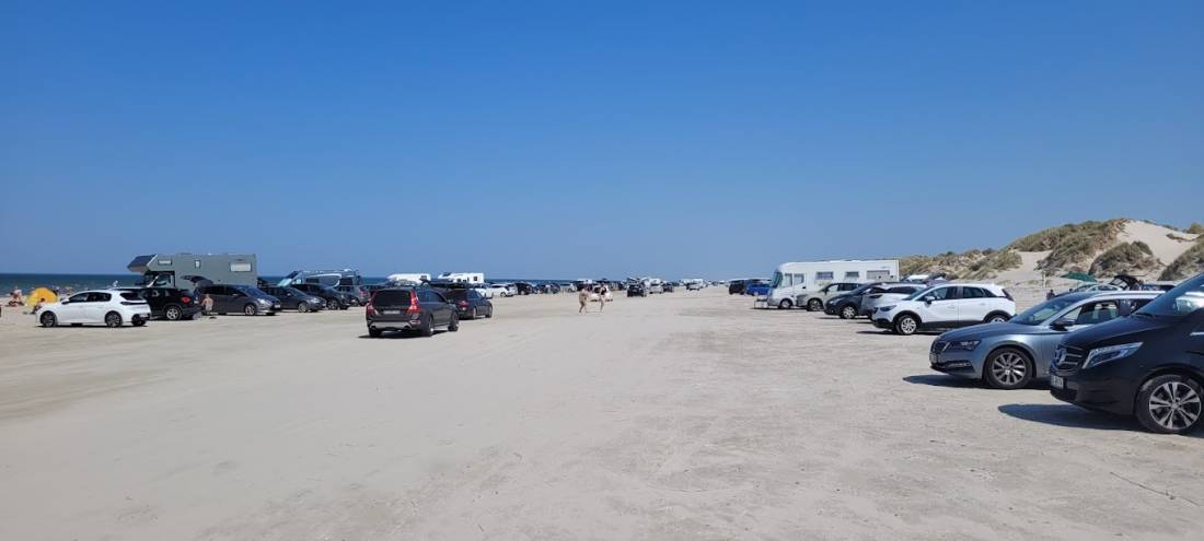 Filsø Aktiv Naturferie — Photo 2