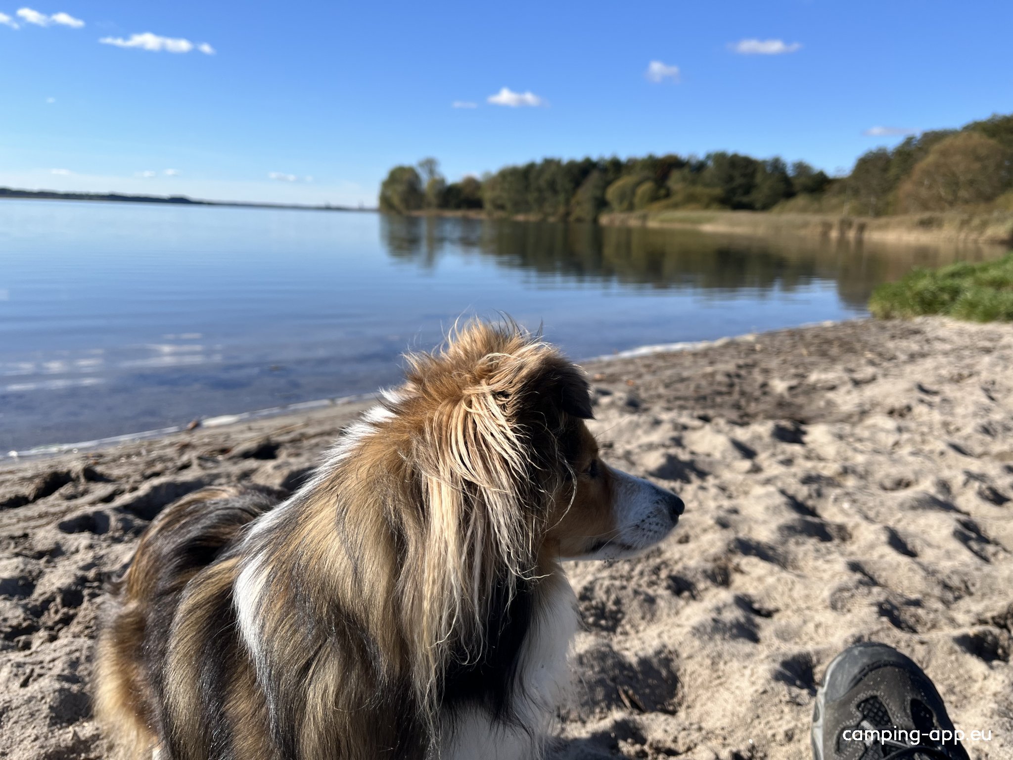 Wohnmobil Stellplätze beim Brodersbyer Fahrradverleih — Photo 6