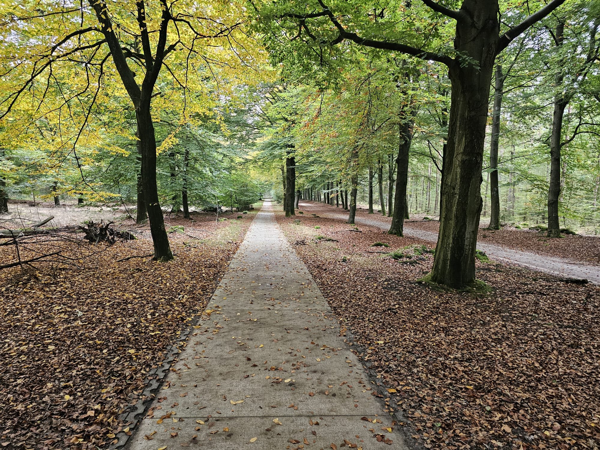 Camping 't Haantje — Photo 4