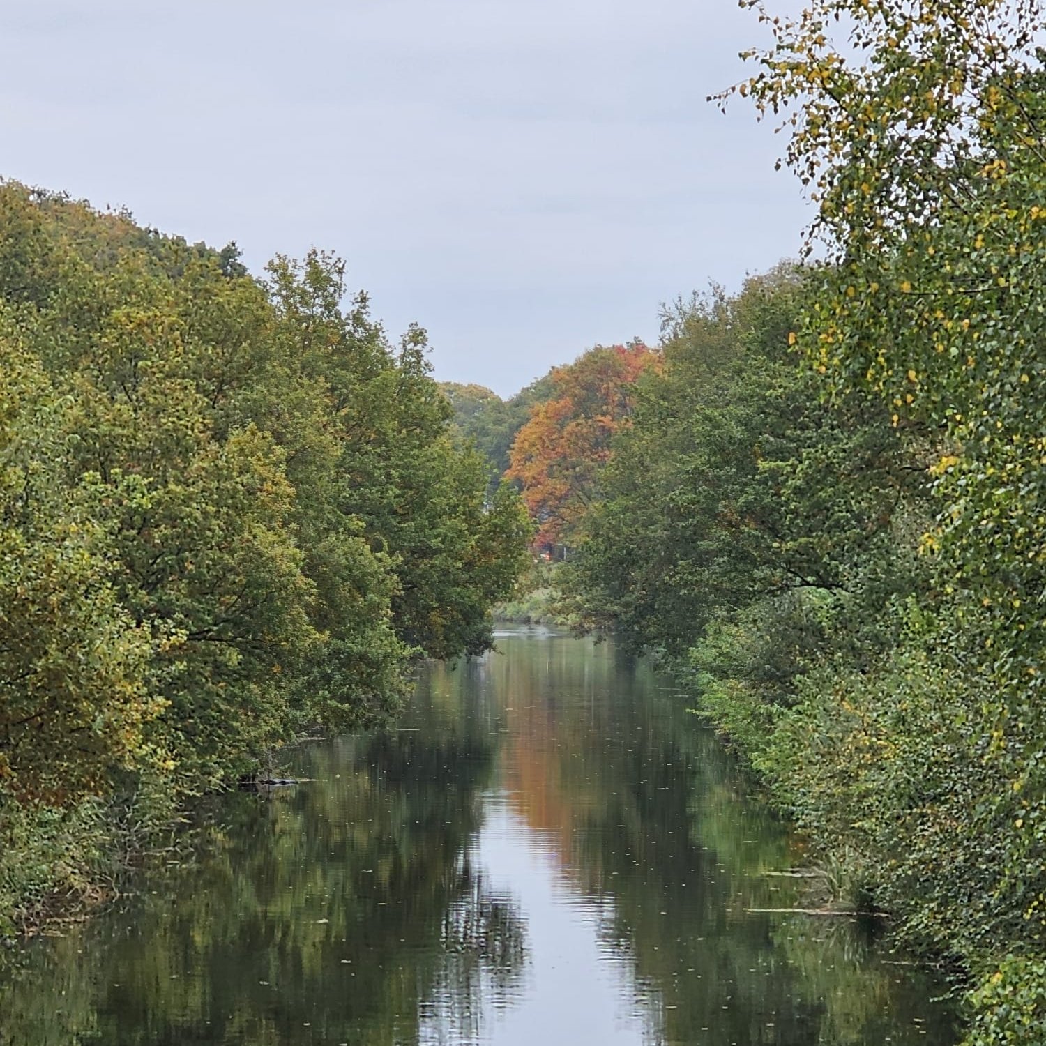 Camping 't Haantje — Photo 6