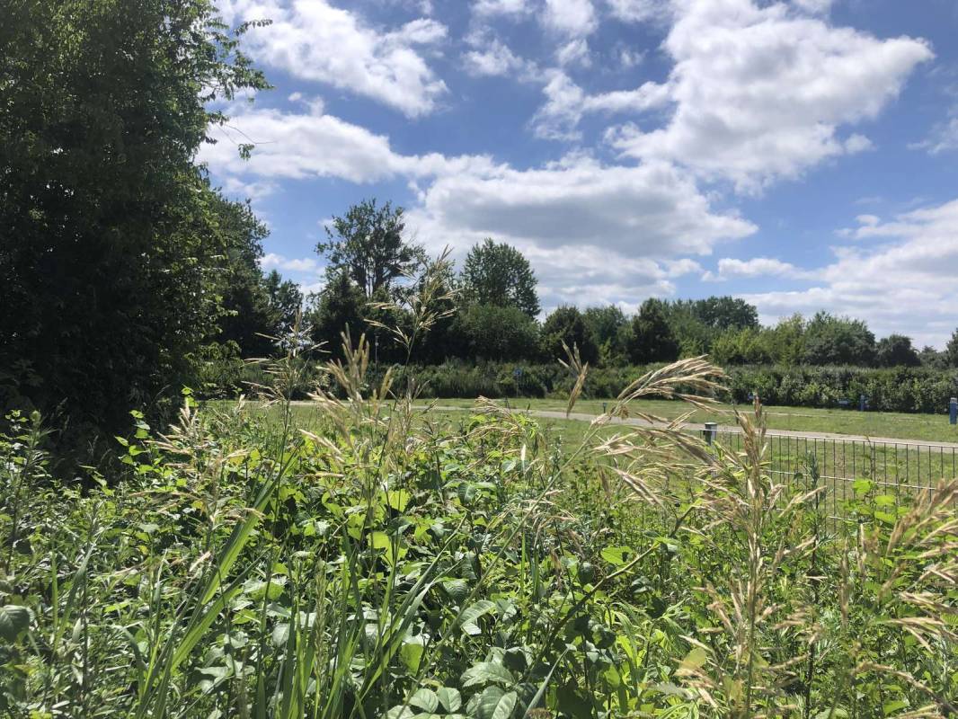 Reisemobil-Marina Müritz — Photo 5