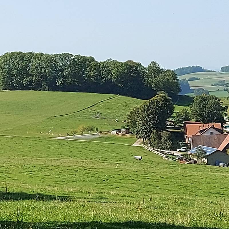 Wohnmobilstellplatz Lahmenhof — Photo 2