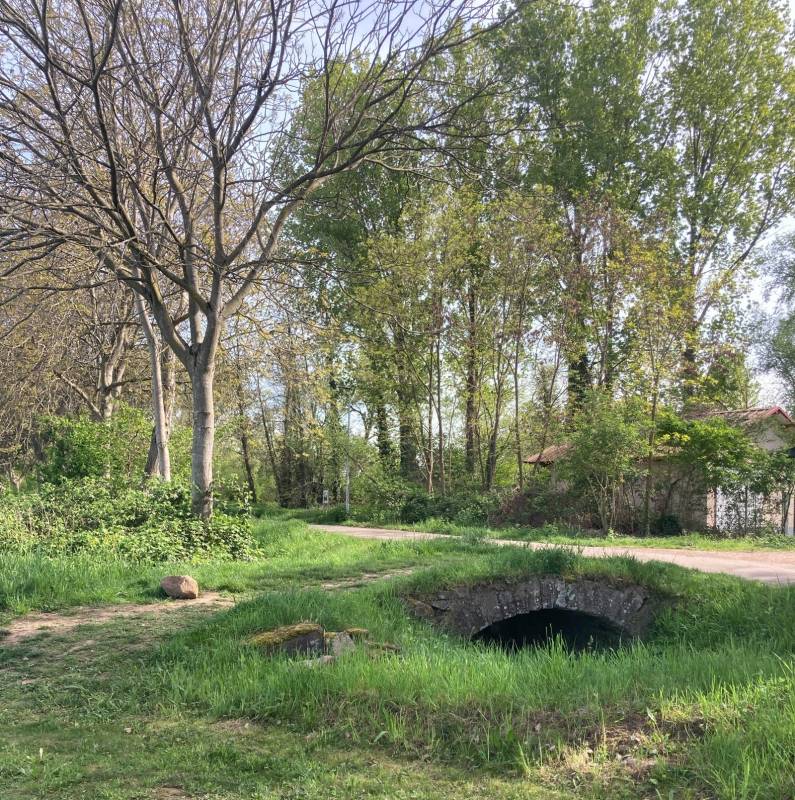 Wohnmobilpark Kenzingen — Photo 6