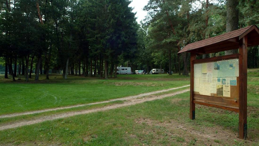 Aire Naturelle de Camping du Hohenfels, Rue du Stade, Dambach, Frankreich — Photo 4